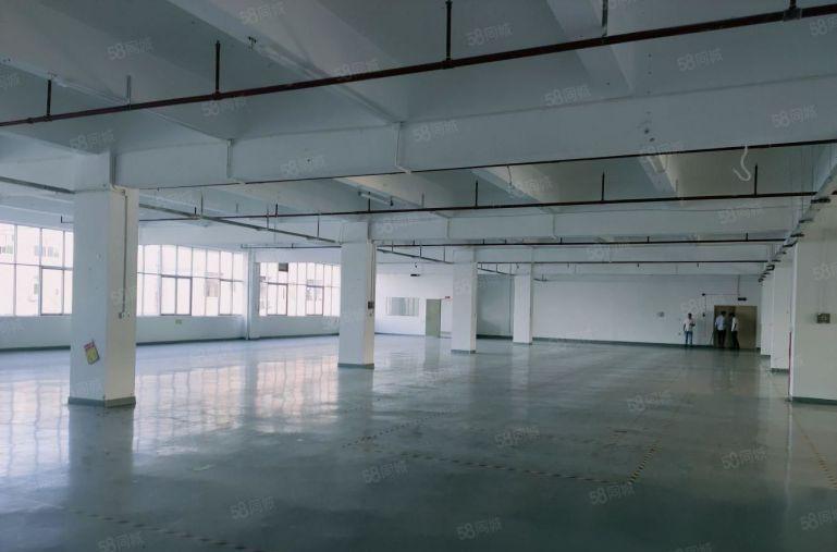 布吉丹竹头港华工业园附近2000平原房东厂房一楼仓库低价出租