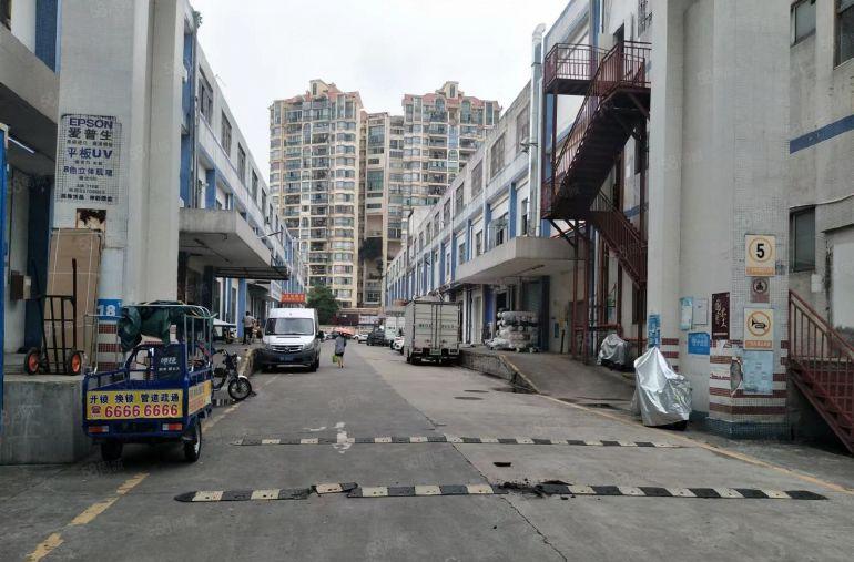 大芬油画村，业主厂房直租