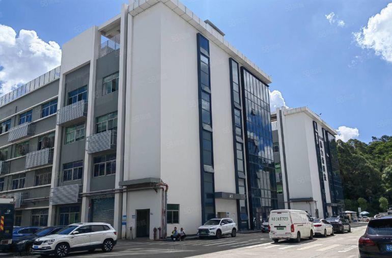 布吉丹竹头电商园楼上1000平，带精装修办公室，可分租