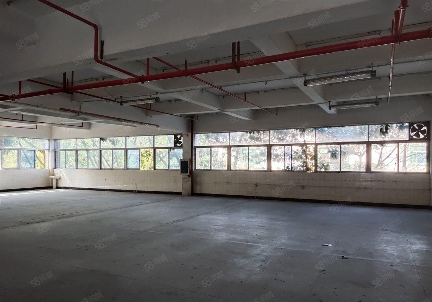 布吉布吉街原房东红本标准厂房1000平出租200平起租带卸货