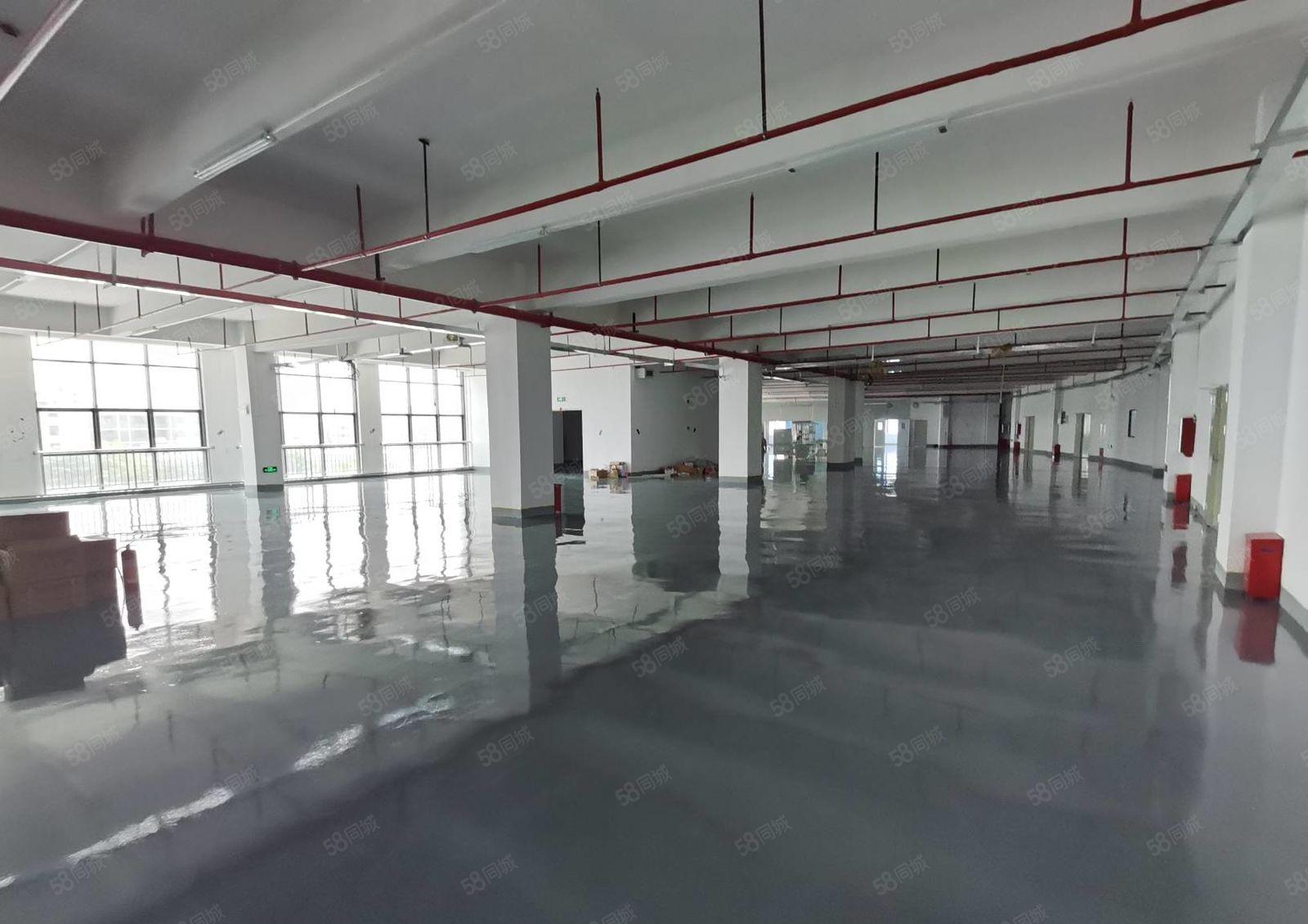 300平起分租布吉李朗原房东工业园一楼二楼1980平厂房出租