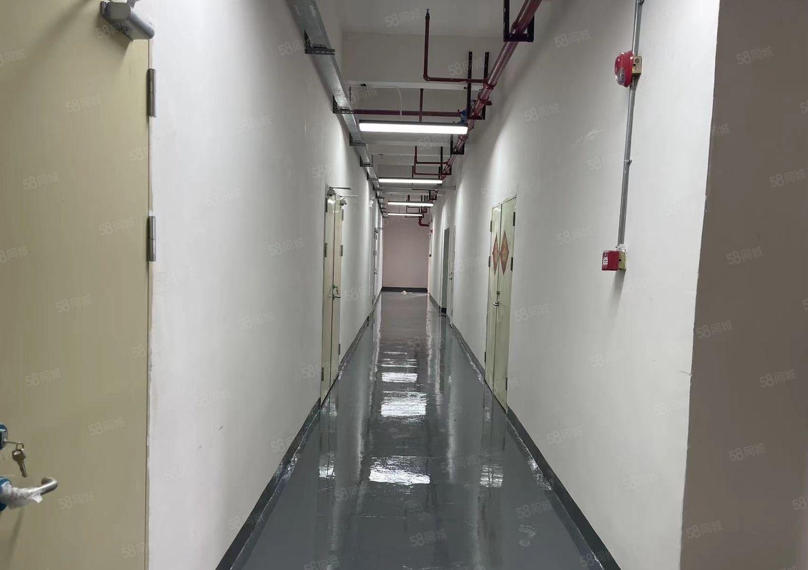 丹竹头地铁站800米厂房仓库出租