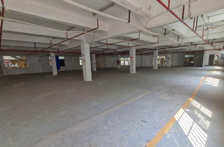 布吉丹竹头厂房出租3800平仓库出租整租分租超大空地高速路口