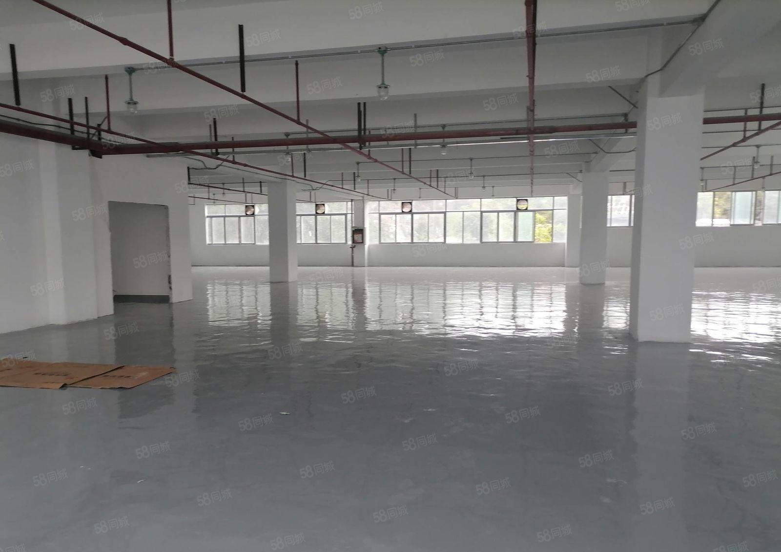 200平起分租布吉李朗工业区3万平厂房仓库出租！有部分一楼！