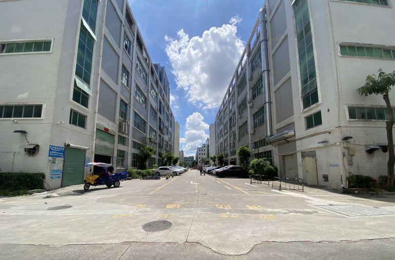 布吉丹竹头地铁口精装修厂房出租一楼电商仓库办公大小面积分租