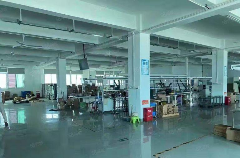 20元起租丹竹头原房东5000平厂房仓库出租100平起租