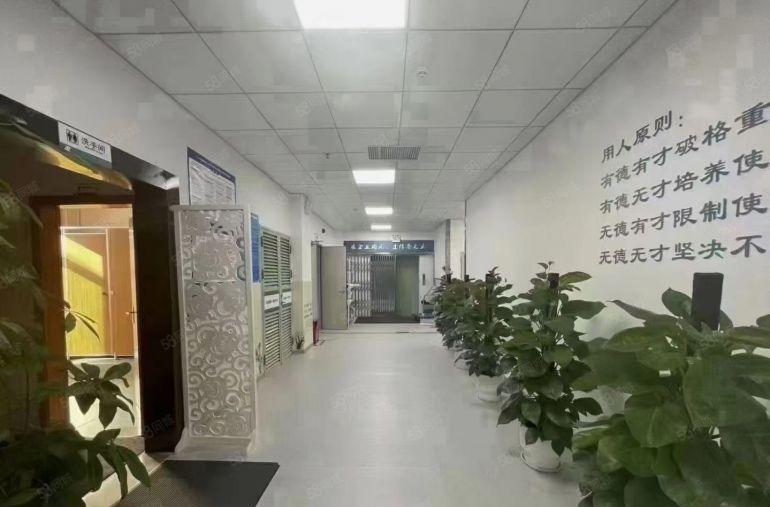 （出租）布吉下水径2000平带精装修厂房低价出租大小分租