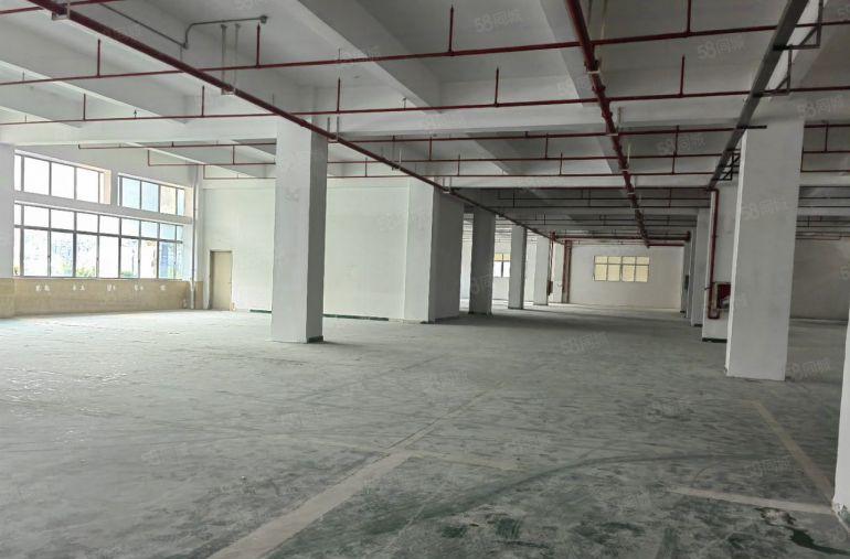 布澜路原房东业主直租