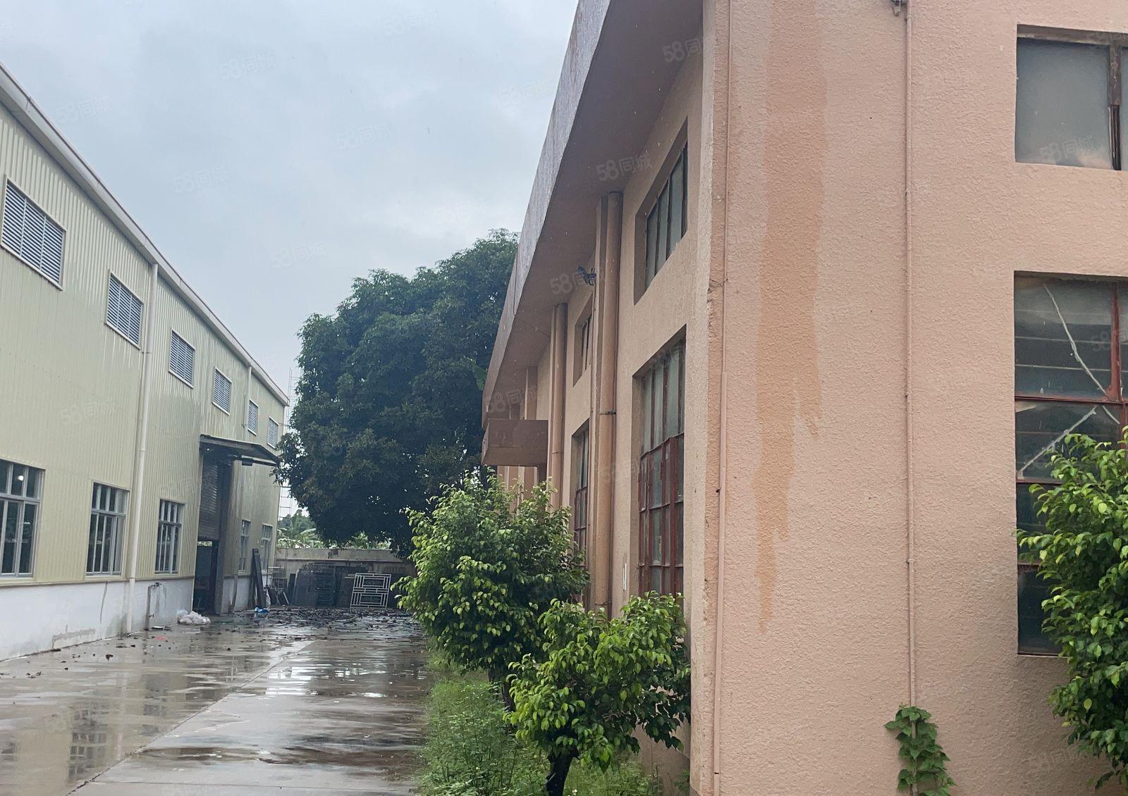 布吉上李朗新出1楼单一层2200平空地大大小可分有红本出租