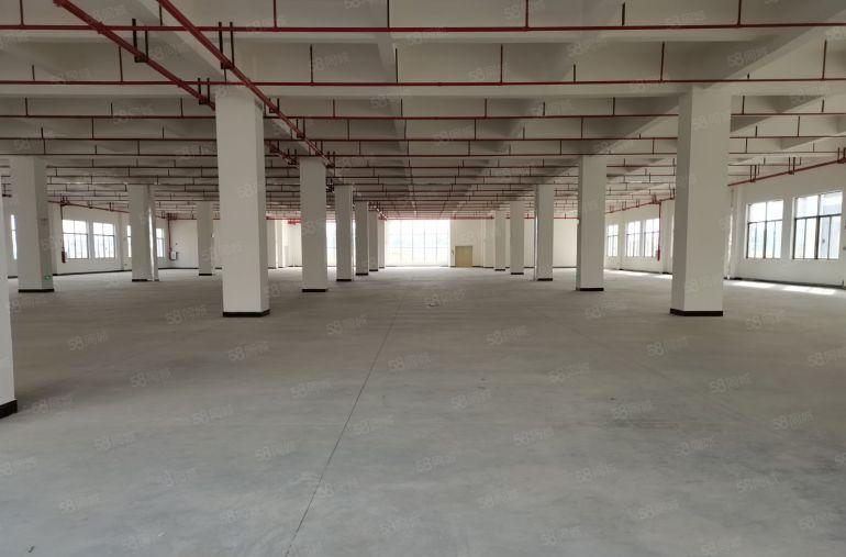 19元低价起租布吉李朗巨银工业园区一楼楼上2000平厂房出租