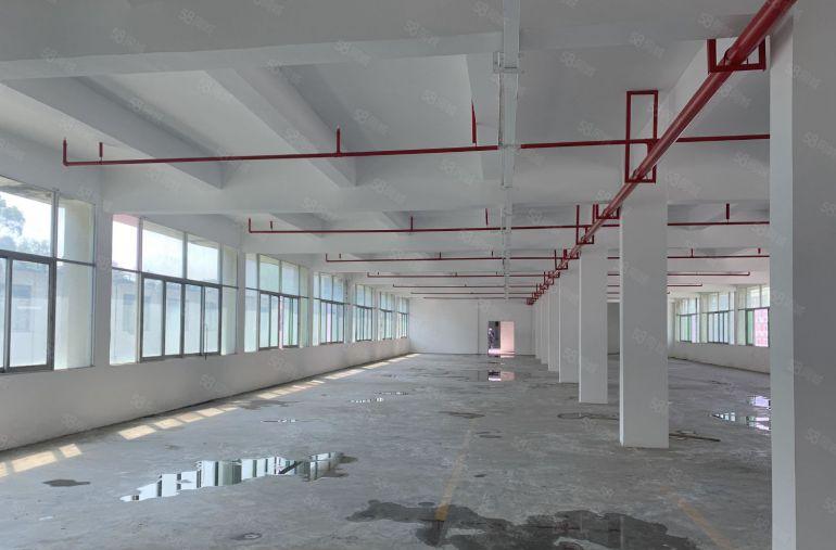 低价出租！布吉丹竹头工业园楼上新出1200平可精装修仓库厂房