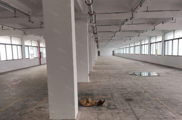 布吉布沙路南岭新出2楼830平房产证红本村委一手使用率高出租