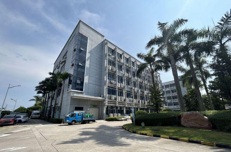 精装修200平起分！丹竹头1000平原房东厂房出租使用率八成