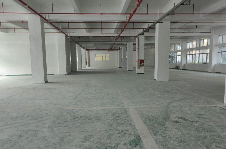 布澜路原房东业主直租