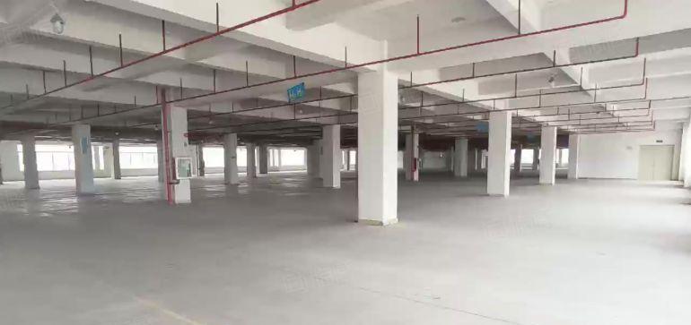 原房东独门独院工业园低价厂房出租一楼仓库出租厂房大小分租空地