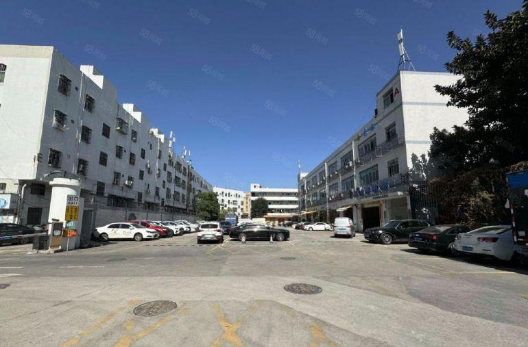 龙岗石芽岭精装修厂房出租楼上500平电商办公室仓库分租