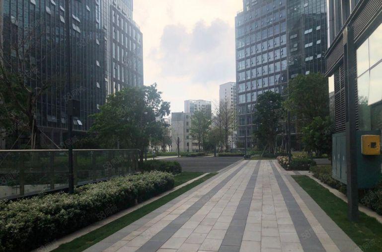 布吉紧邻第三人民医院高薪产业园开发商直租！可享受补贴！可办环