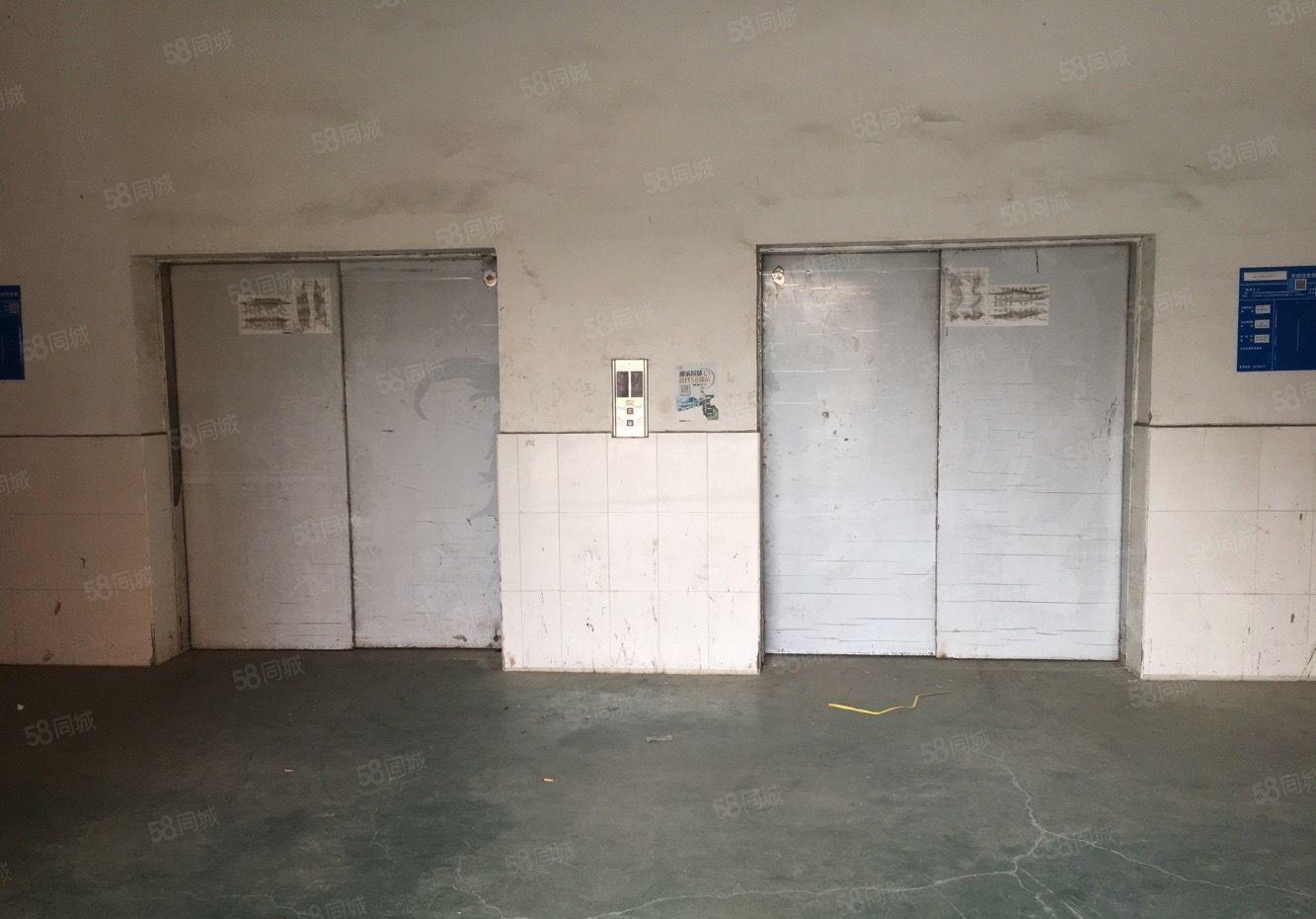 布吉丹竹头恒昊华物流园三楼800平米厂房仓库出租