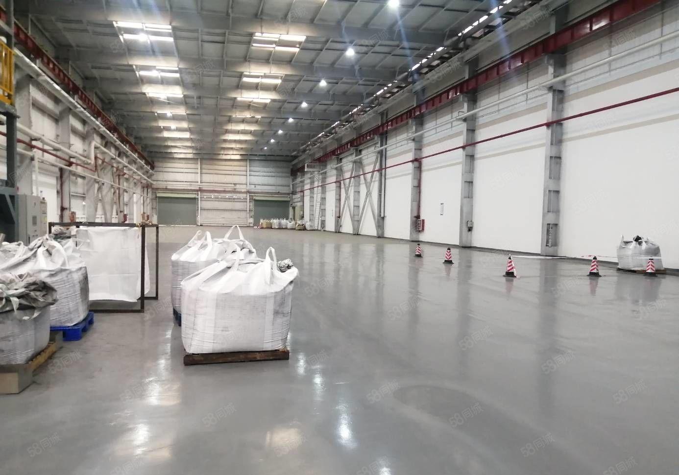 木棉湾原房东标准厂房5500平加2500平钢构 可整 可分