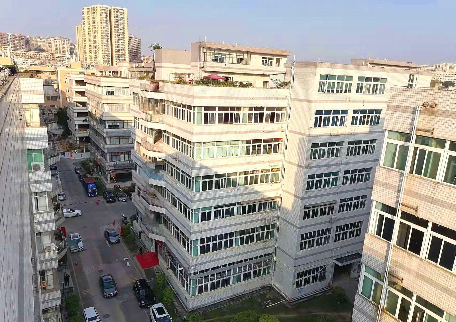 布吉百门前 中交科技城 一手红本 高实用率厂房 出租