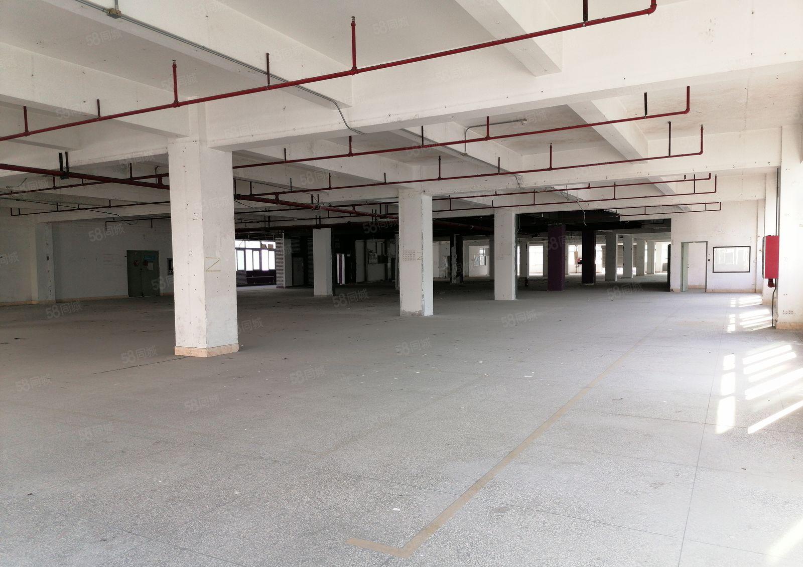 布吉主干道高实用率一手红本厂房仓储100平起租