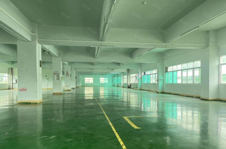 布吉街工业园原房东新出楼上1000平精装修办公室仓库厂房出租