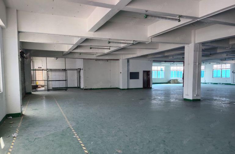 布吉原房东红本地铁口厂房出租大小可分组带精装停车位充足