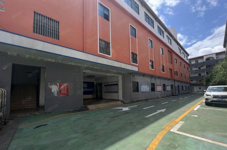 布吉红本独门独院厂房1200平方一楼仓库出租带豪华装修办公室