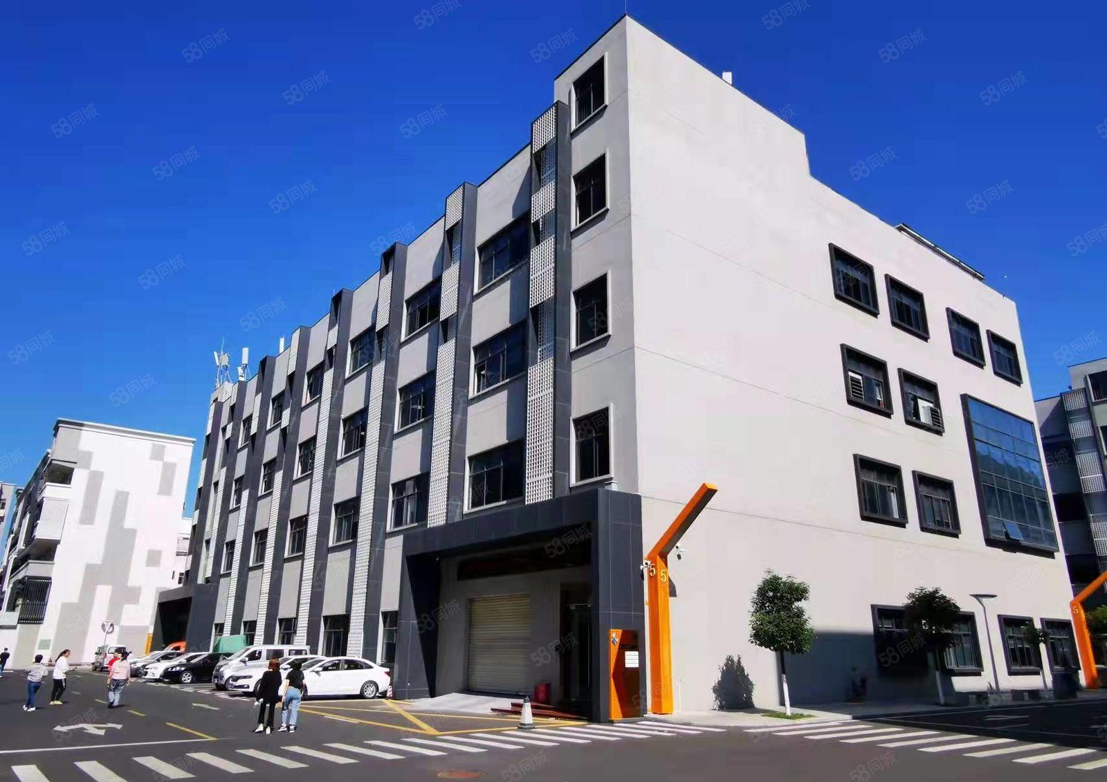 500平起，布吉1983创意小镇2楼1000平仓库办公厂房出