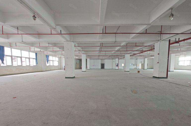 布吉地铁口带装修200平至2000平厂房出租电商一楼仓库出租