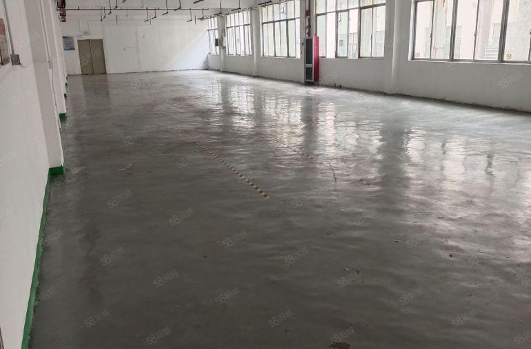 布吉罗岗联创工业区，原房东红本厂房。交通便利，园区形象好，
