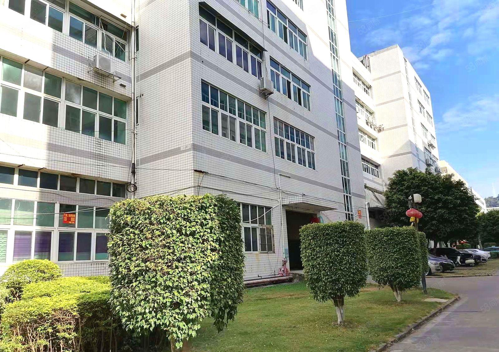 布吉百门前 中交科技城 一手红本 高实用率厂房 出租