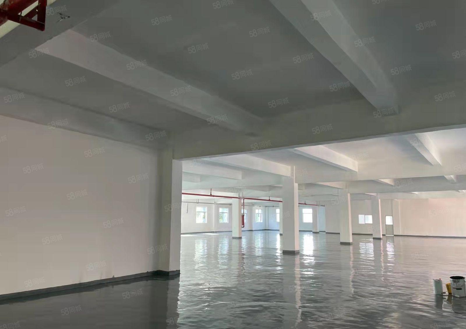 丹竹头1050平米厂房全新地坪漆，带消防喷淋，货梯