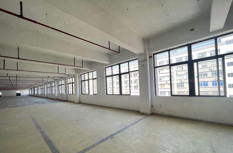 红本厂房！布吉李朗独门独院18000平原房东直租！