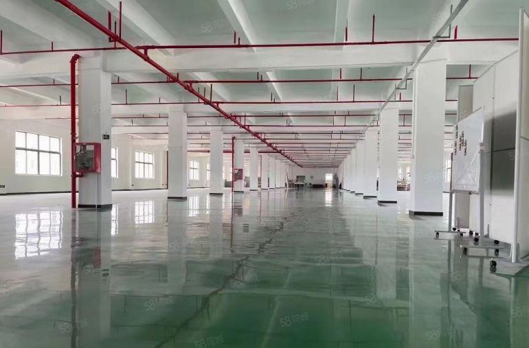 布吉李朗原房东红本独栋20000平厂房出租分租带装修使用率高