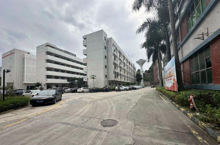 一楼高6米带牛角布吉原房东大型园区重工业1600平精装修厂房