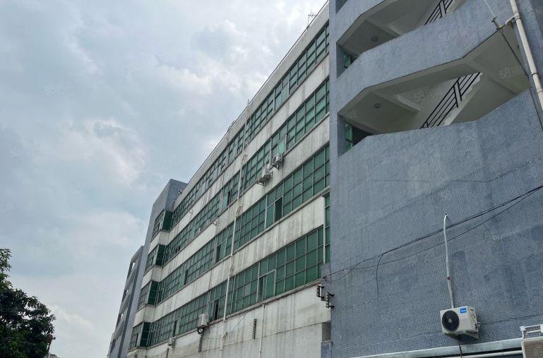 布吉东站布龙路边上3楼1000平厂房出租原房东使用率高