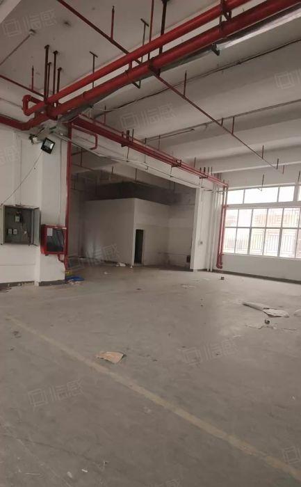 布吉原房东工业区2000平厂房一楼出租红本可分租能办环评