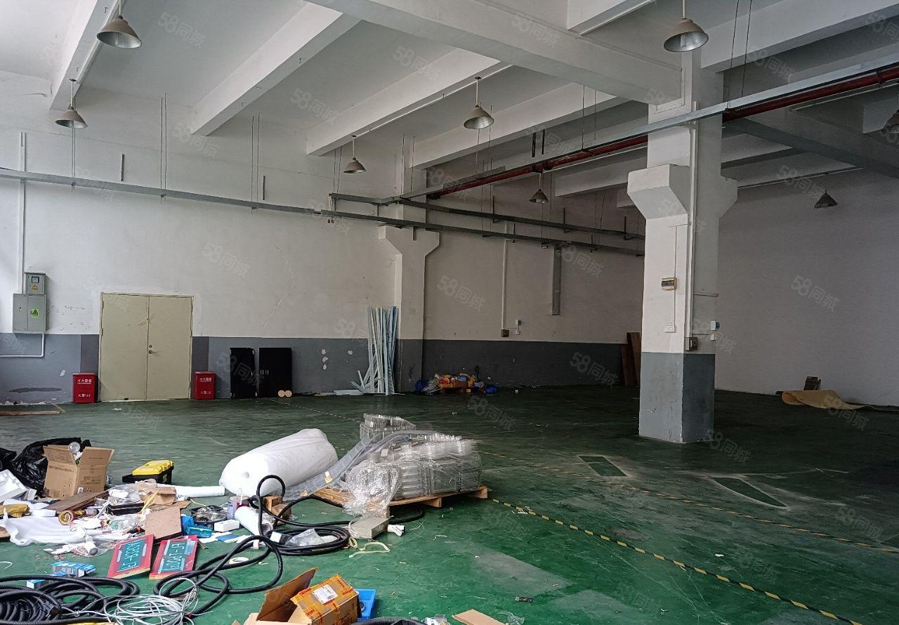 楼村新出一楼750平方，高度6米，大园区形象好，带办公室