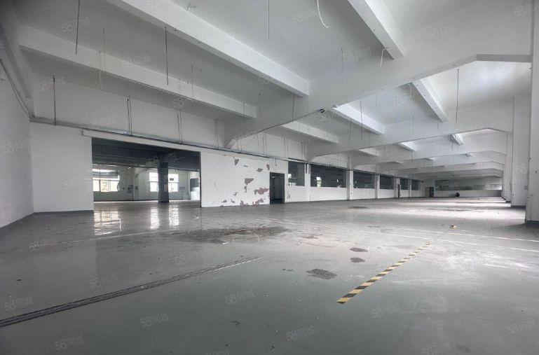 公明原房东独栋15000平厂房出租 带有红本大小可分 空地大