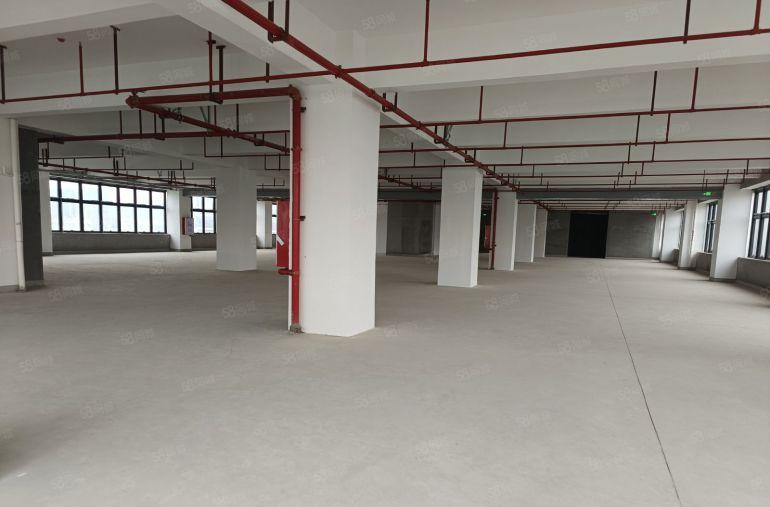 光明1200平起全新厂房分租国资委红本厂房原房东实际面积招租