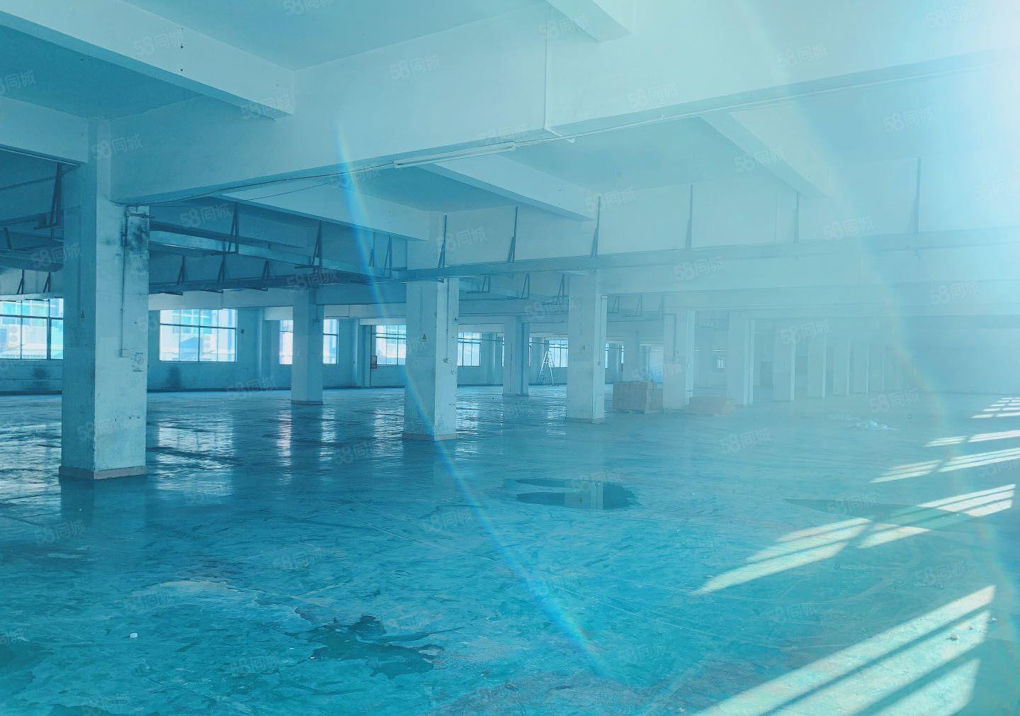 公明12000平米独院厂房出租可分层出租