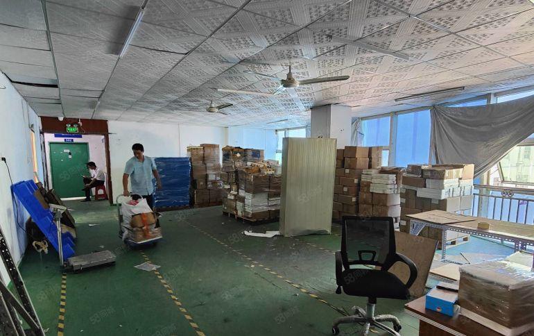 公明新出小面积精装厂房480平。特价18一平，随时看房