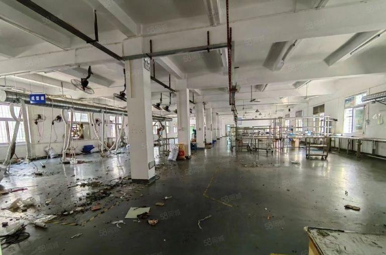 光明红星独院厂房出租3300~6600平坐南朝北，可分栋租