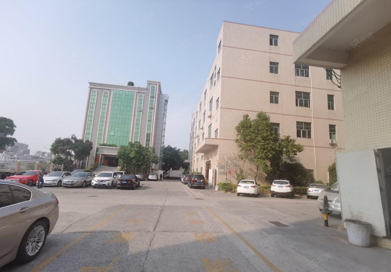 公明新围第四工业区大型园区三楼整层2400平带前台办公室装修