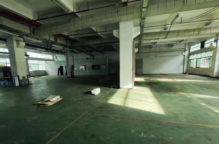 公明楼村精装一楼厂房出租1770平价格便宜30元全包，带行车