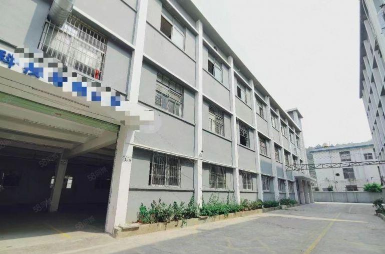 光明红星独院厂房出租5000平方 空地大 大小可分租行业无限