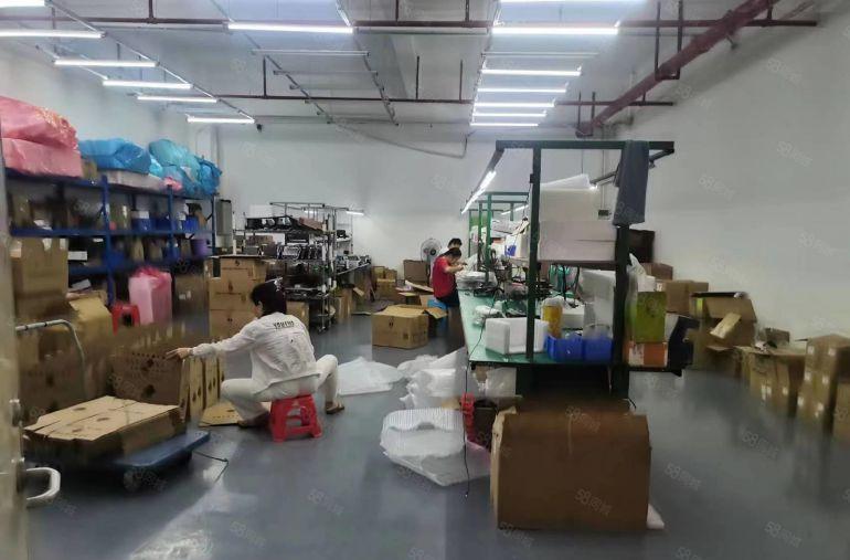 公明楼村精装厂房出租600平现成前台，办公室，洁净车间等