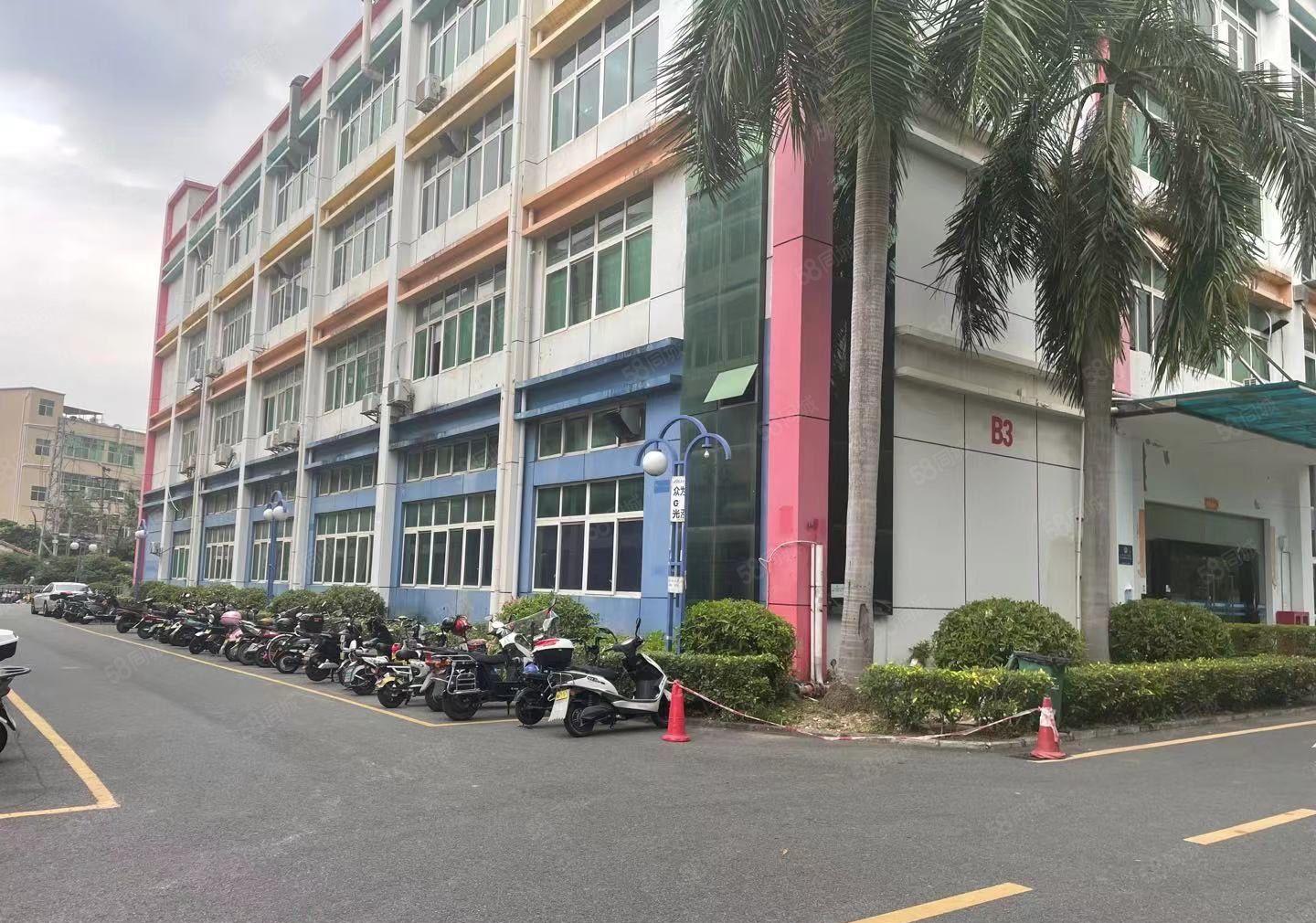 光明双高速出口红本独院9000平方出租