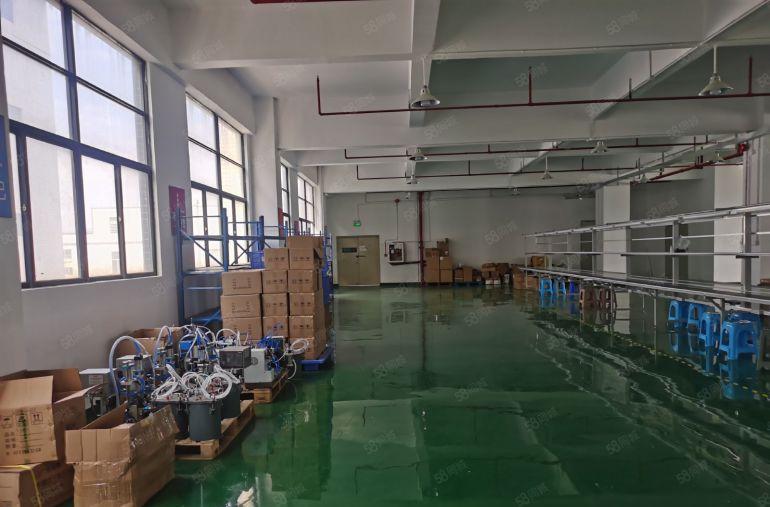 公明马田街道1580平精装修厂房出租 带办公室有卸货平台3吨